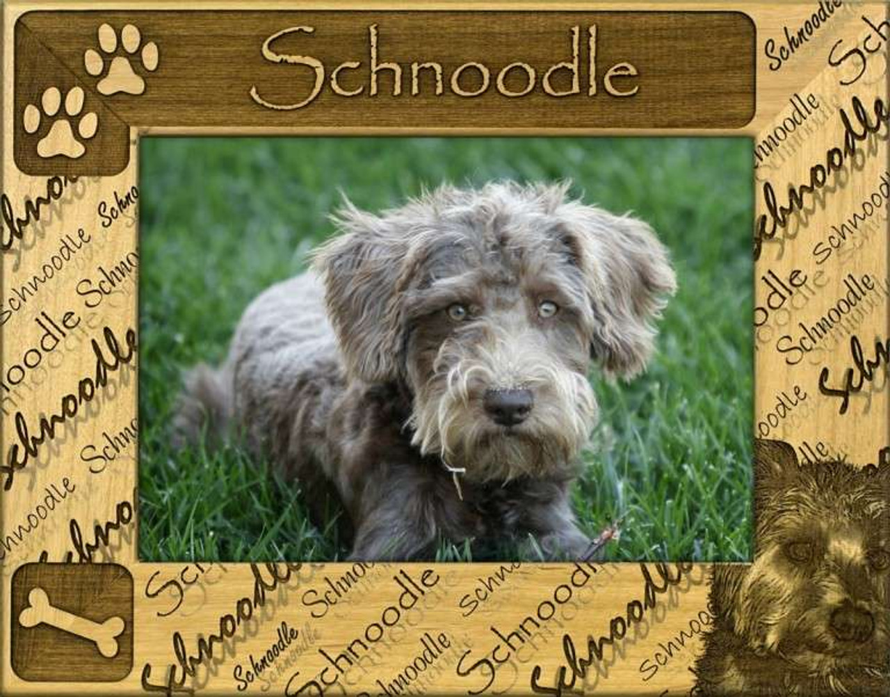 Personalized Frame Schnoodle Personalized Frame Schnoodle