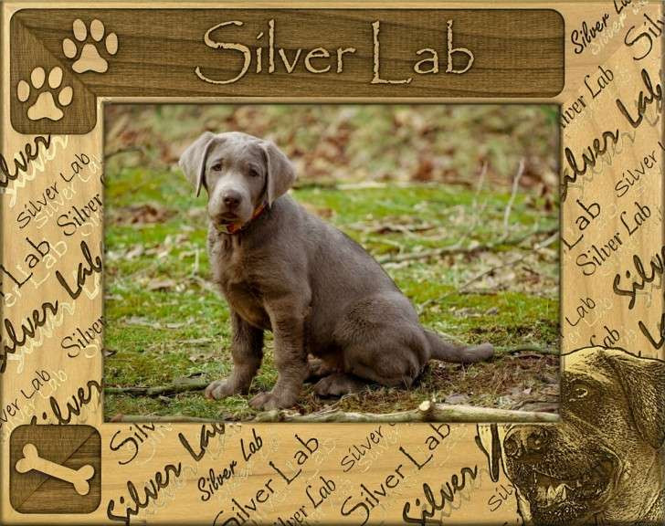 Personalized frame Silver Lab