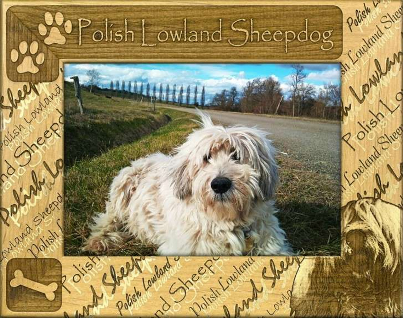 are polish lowland sheepdogs easy to train