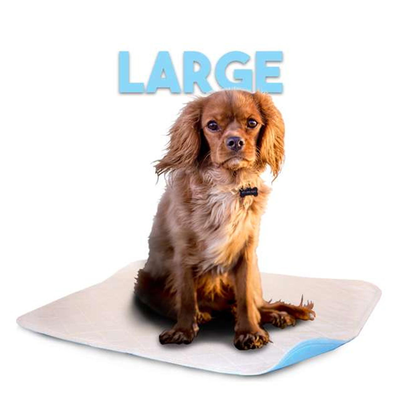 Disposable Water Absorption Indoor Urine Hygienic Mat Puppy Pet