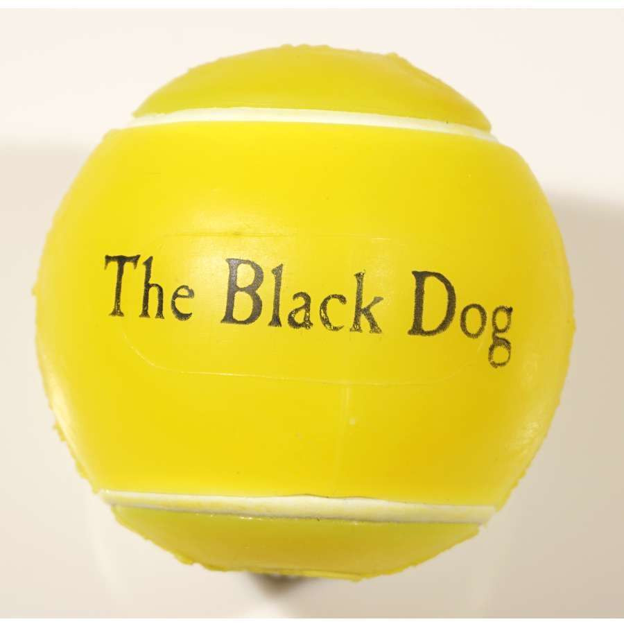 Dog Tennis Ball Dog Toys
