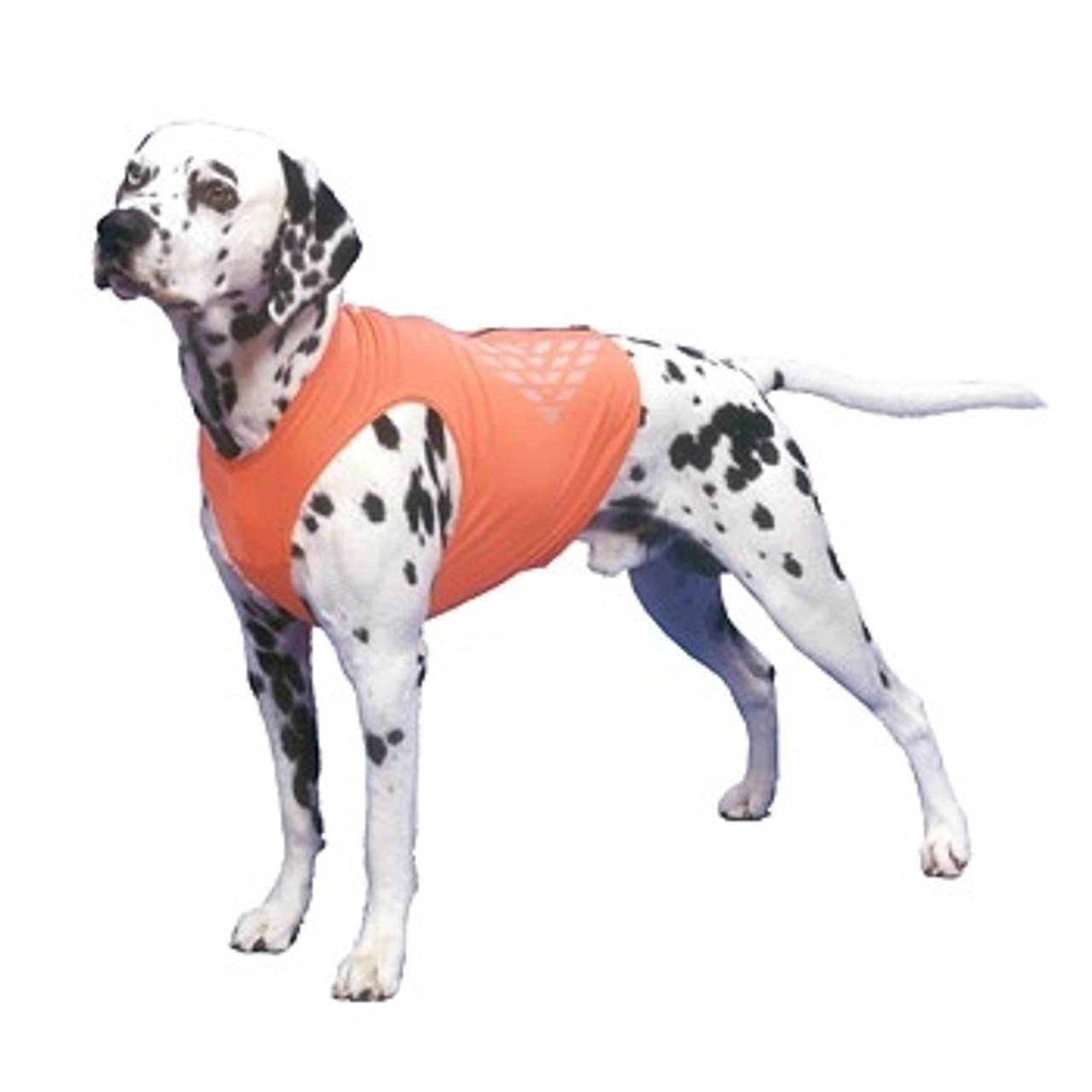 K9 top coat sports vest Clearance