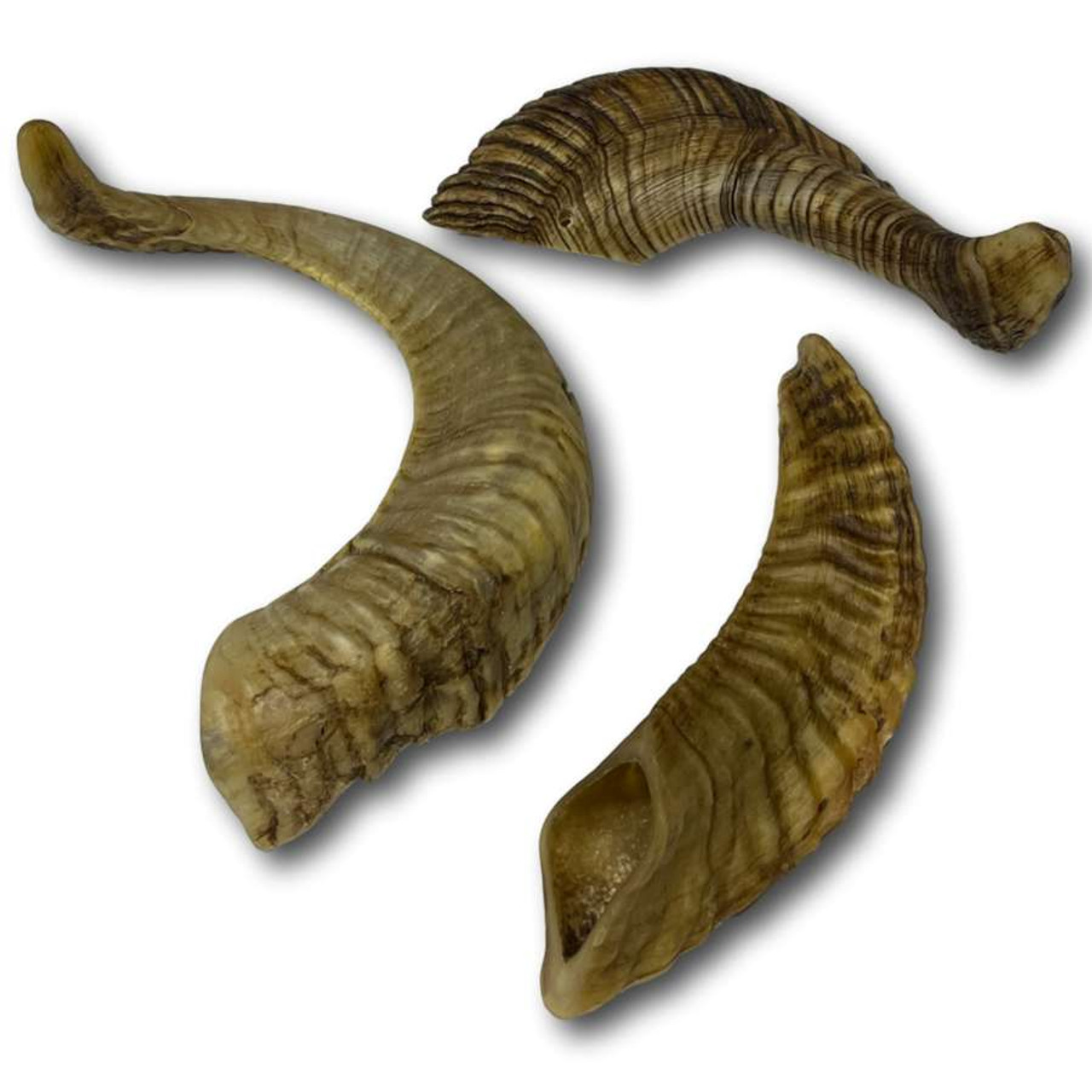 Are Goat Horns Safe For Dogs To Chew are-goat-horns-safe-for-dogs-to-chew