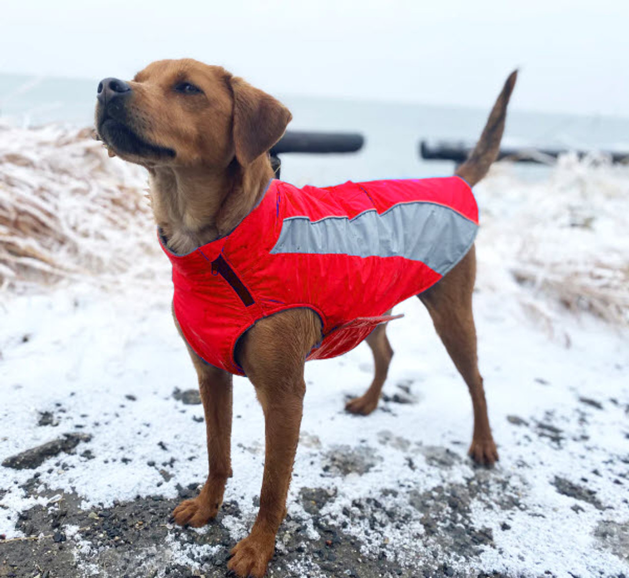 Bay Dog Saginaw Fleece Jacket XL