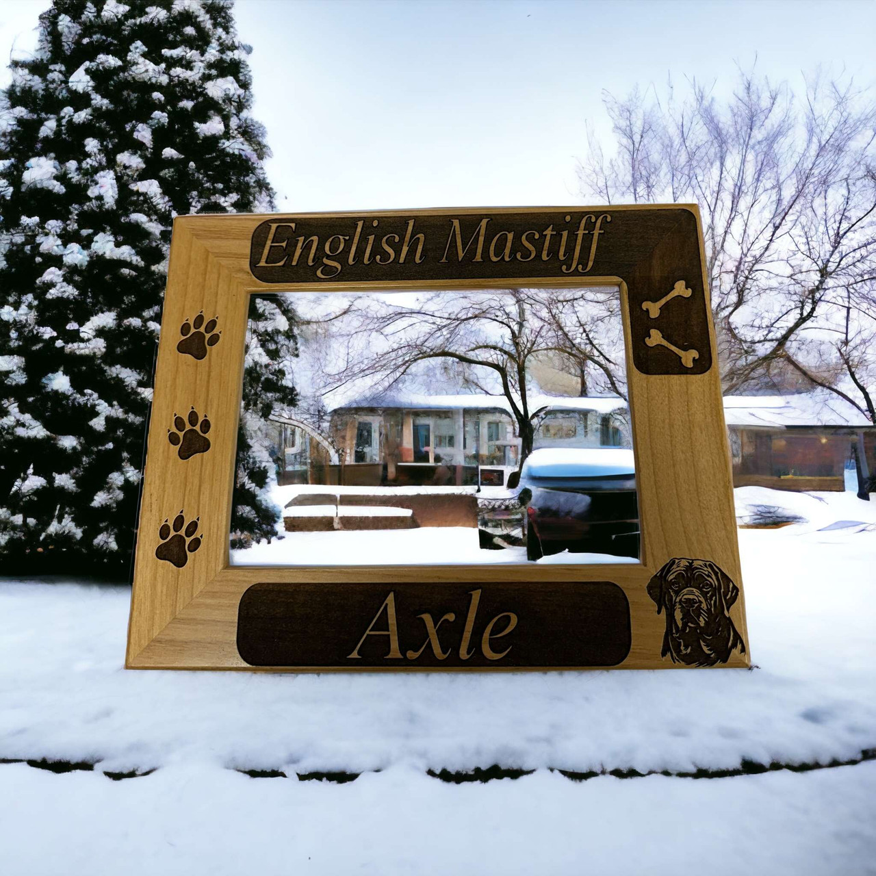 Frame - English Mastiff (LC) - Thumbnail 2