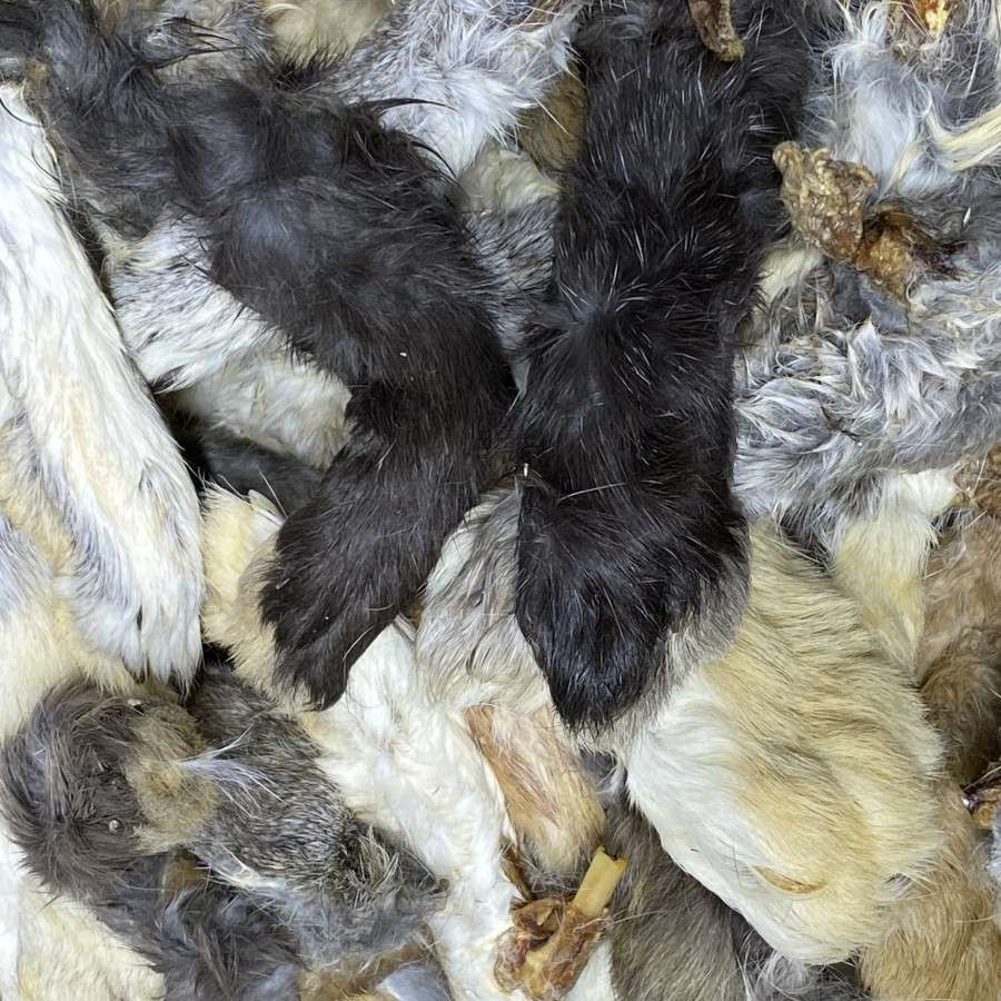 Rabbit Ear dog treats - Perfect for dogs with allergies.