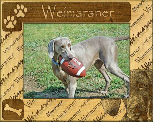 Frame - Weimaraner