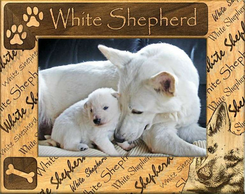 Frame - White Shepherd