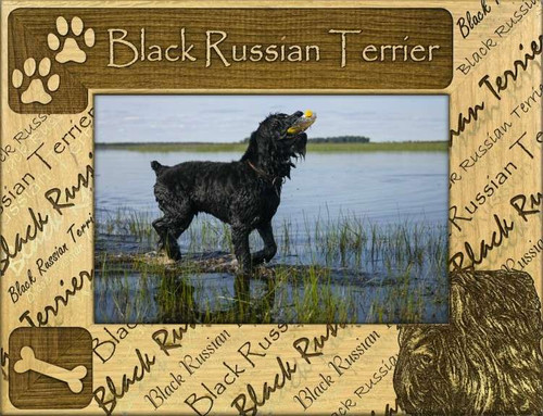 Frame - Black Russian Terrier