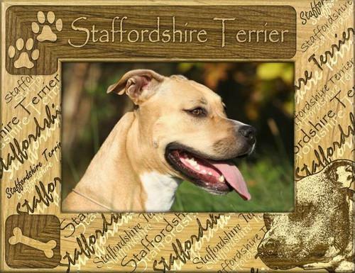 Frame - Staffordshire Terrier