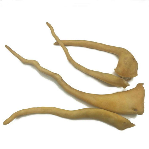 Lamb Tail Flossers - 8oz Pack