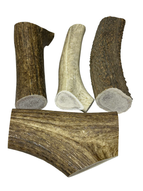 Elk Antler Extra Large