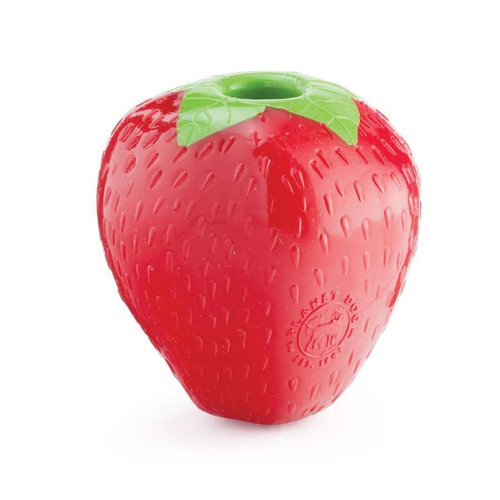 Planet Dog Strawberry