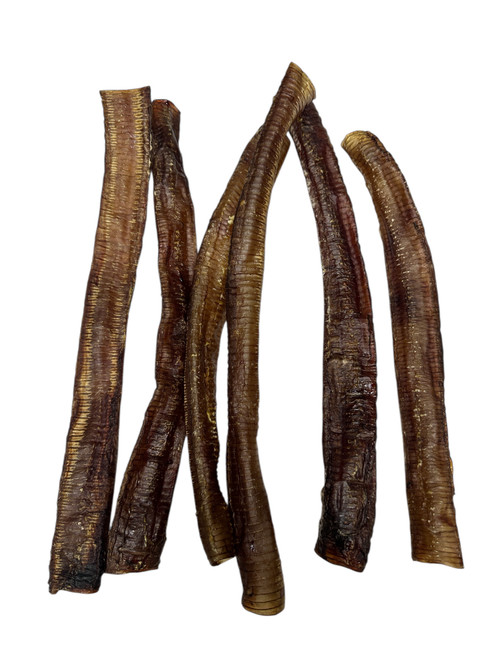 Ostrich Trachea Chews
