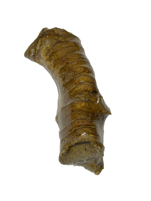 Cheese filled beef trachea