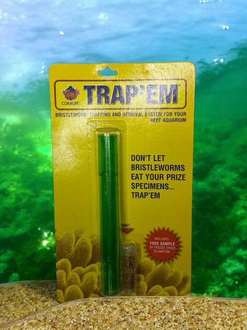 Trap'em Bristleworm Trap