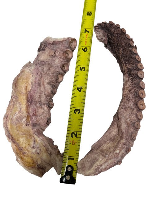 Freeze Dried Octopus Tentacles