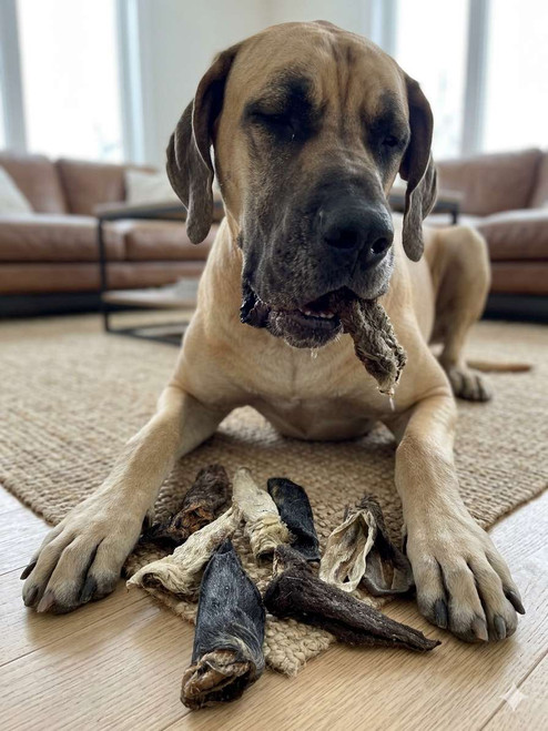 All Natural Lamb Ears - Large