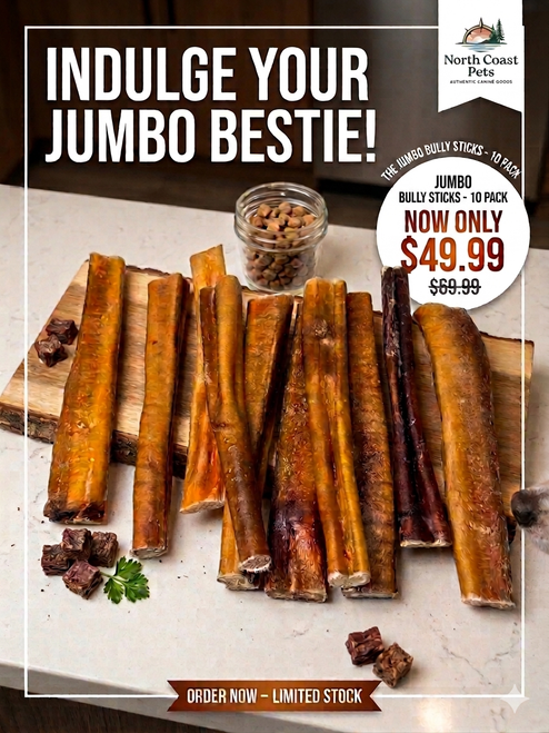 6" Beef Bully Sticks JUMBO - 10 Pack
