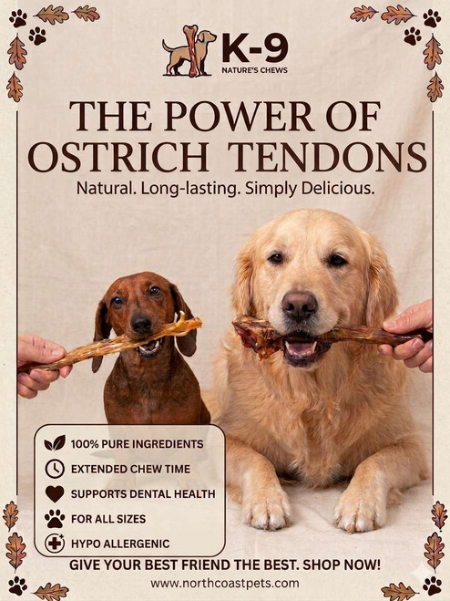 Ostrich Tendons - Big - 2 Pk