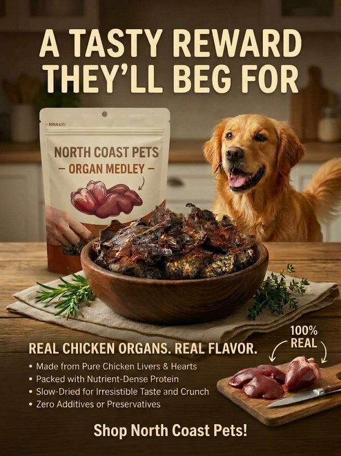 Chix Organs
