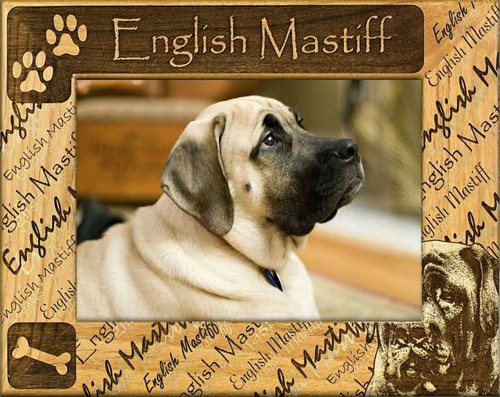 Frame - English Mastiff