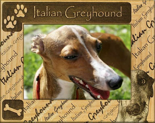 Frame - Italian Greyhound