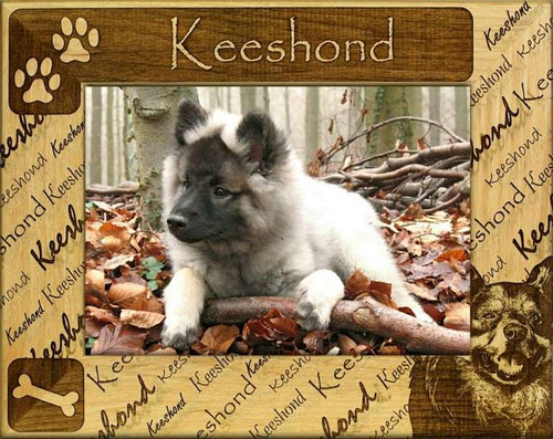 Frame - Keeshond