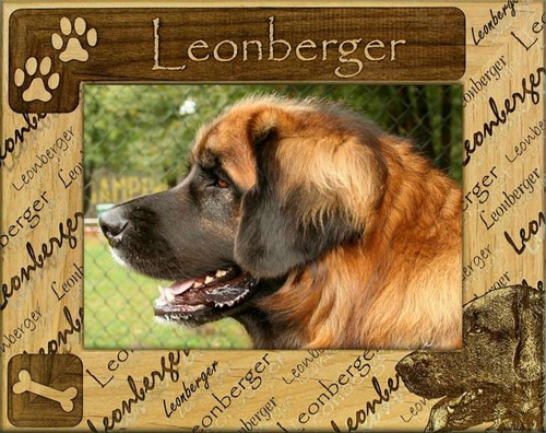 Frame - Leonberger