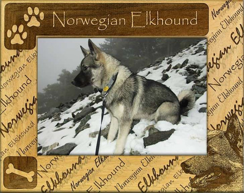 Frame - Norwegian Elkhound