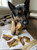 Ostrich Earz Chews - 4oz