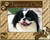 Frame - Japanese Chin