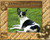 Frame - Miniature Rat Terrier