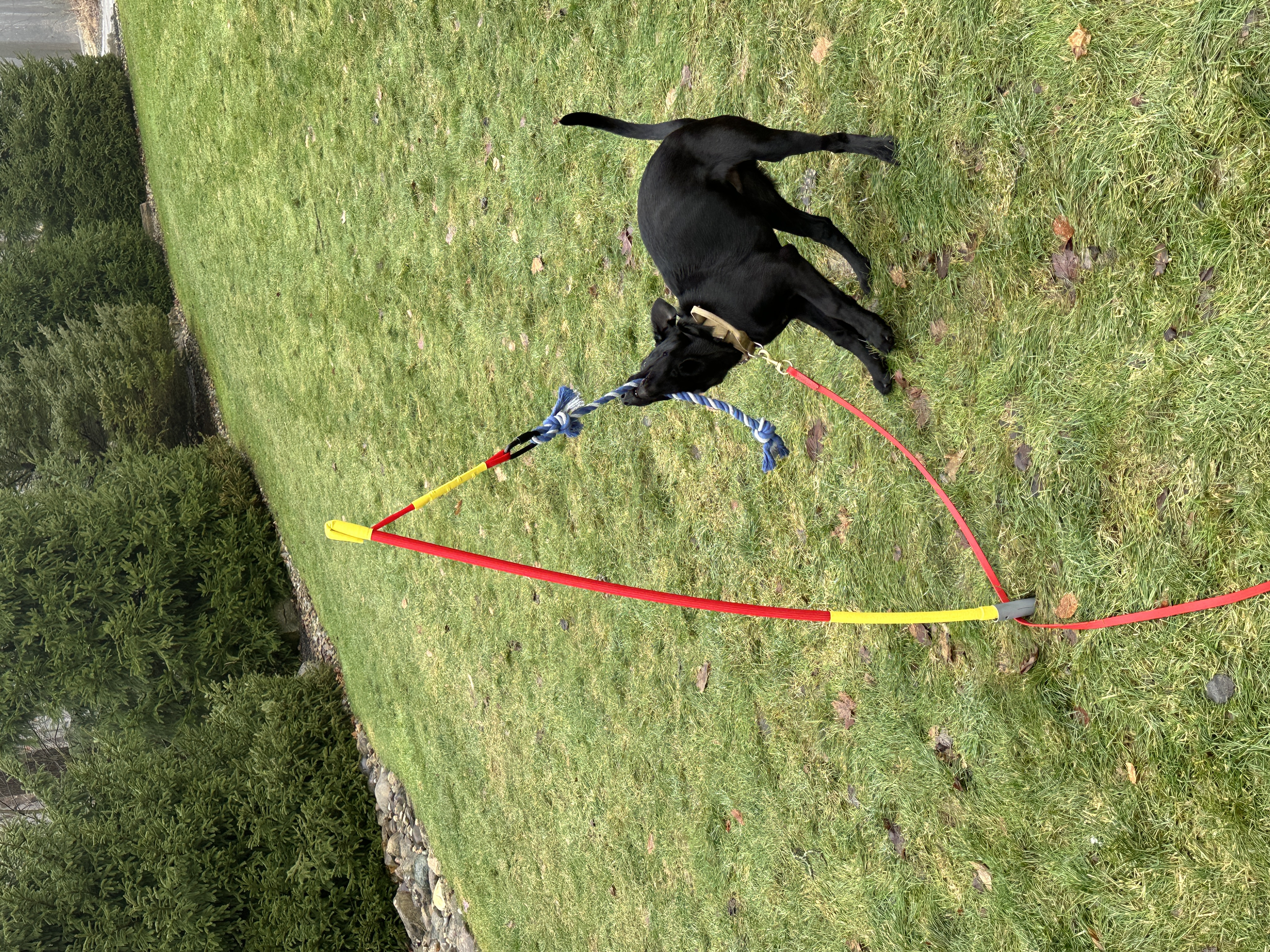 Indoor Kayak Kits For Outdoor Fun Tether Tug