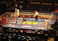 Pro Fight Ring Pro Fight Ring