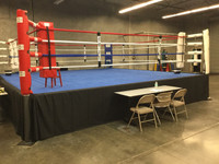 Official 20' X 20' Fight Night Boxing Ring