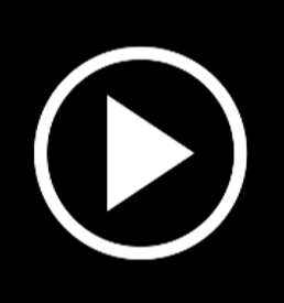 playIcon