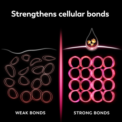 Strengthens cellular bonds. Graphic depicting weak bonds and strong bonds.