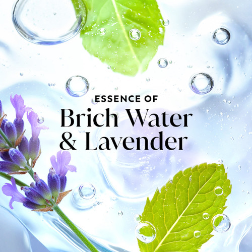 Lavender and leaves in water. Essence of birch water and lavender