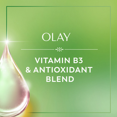 Vitamin B3 and antioxidant blend