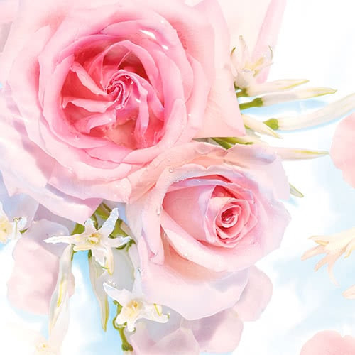 Fresh Outlast Body Wash Rose Water & Sweet Nectar 22 fl oz Fresh Outlast Body Wash Rose Water & Sweet Nectar 22 fl oz