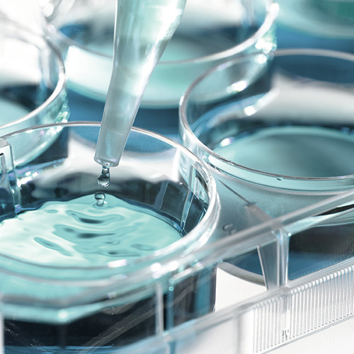 olay kp bump body scrub