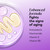 Age Defying Anti-Wrinkle Night Cream