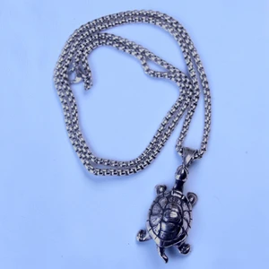 As Fast as a Turtle 24" Stainless Steel  Statement Necklace