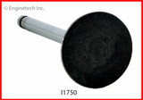 I1750 Valve - Intake (O/S Stem And Head)