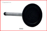 I4342B Valve - Intake (O/S Stem And Head)
