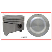 P3002(1) Piston Single