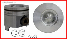 P3063(8) Piston Set