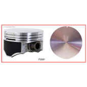 P3081(8) Piston Set