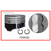 P3095(8) Piston Set